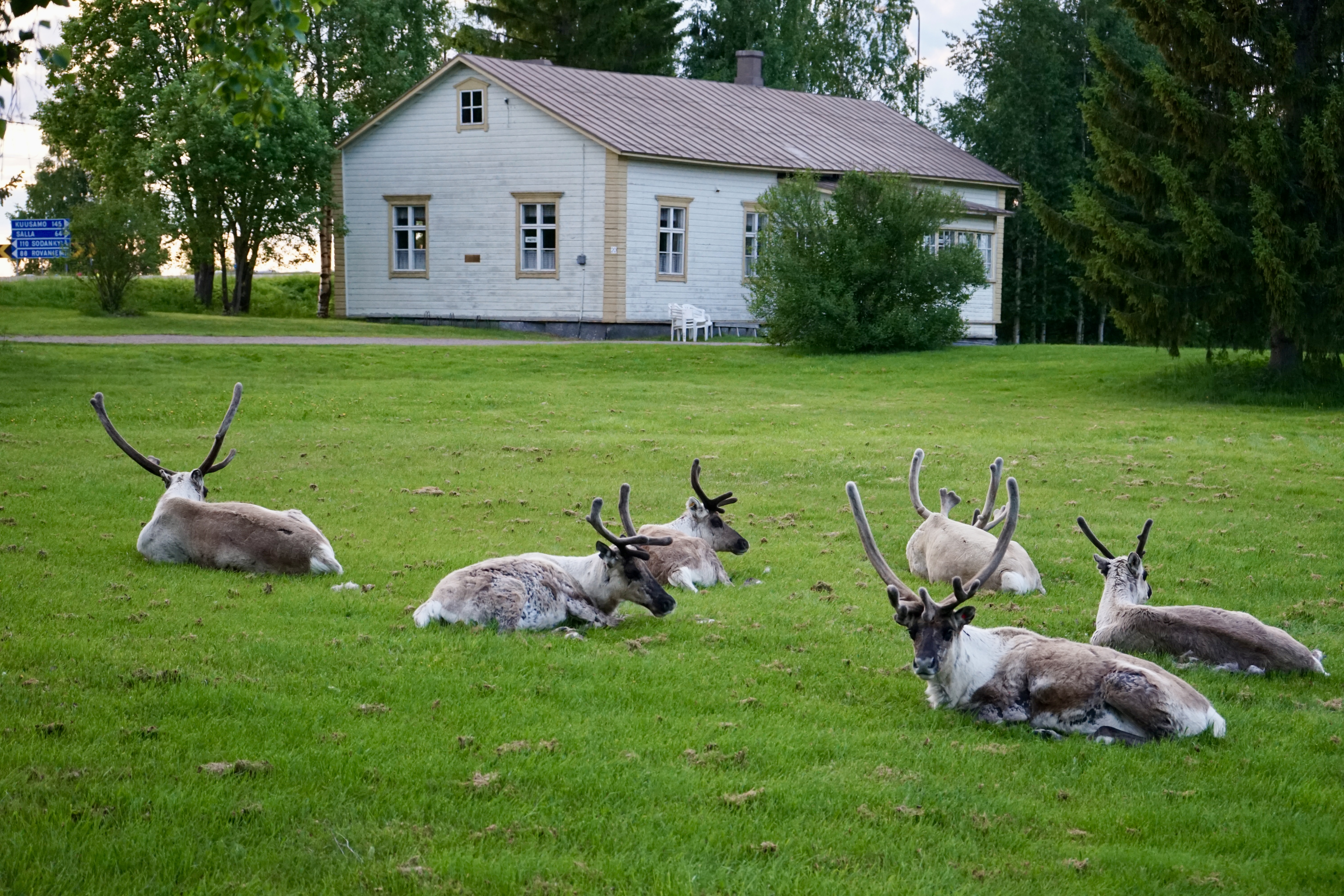 Kesäinen näkymä Kemijärven kirkonmäelle