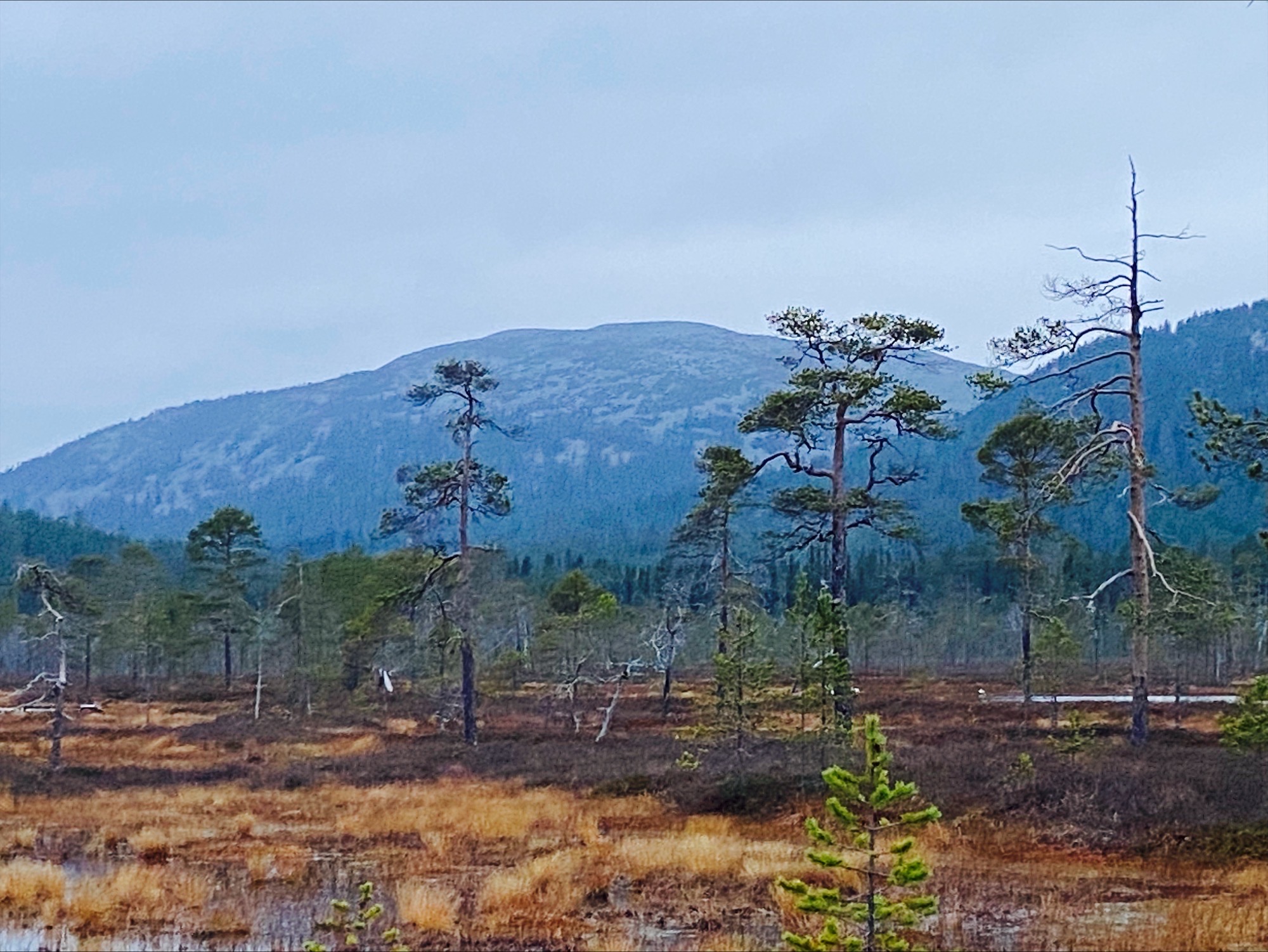 Pyhätunturin silhuetti